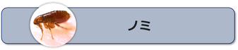 ハエの特徴と習性,ハエの被害,ハエの駆除