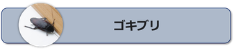 ゴキブリの特徴と習性,ゴキブリの駆除方法