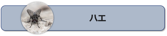 ハエの特徴と習性,ハエの被害,ハエの駆除