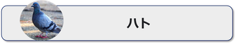 はとの特徴と習性,鳩,ハト,ハトの被害と駆除