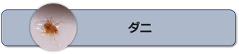 ハエの特徴と習性,ハエの被害,ハエの駆除