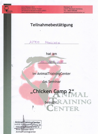 Teilnahme Chicken Camp