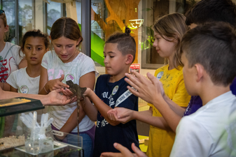 Regenwald-Nacht: Gabriela Carrion