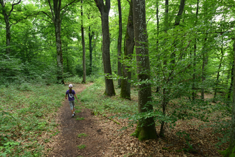 Kind im Mischwald: Dr. Olaf Broders (LBV Bildarchiv)