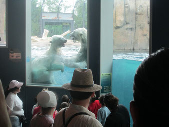 Pardee Ave: Zoo