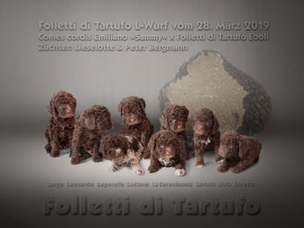 Comes cordis Emiliano »Sammy« x Folletti di Tartufo Eboli