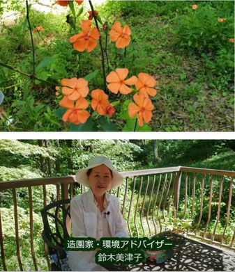 軽井沢の別荘地にあるひときわ目を引く苔の庭