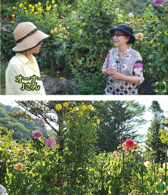 ダリアガーデンのオーナーJさんと鈴木美津子さん