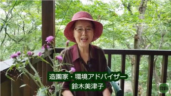 アザミの花かご作りする鈴木美津子さん