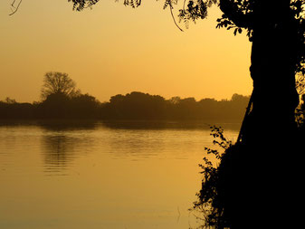 The Gambia River at Janjanbureh