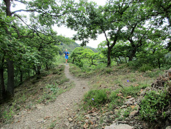 Trailrunning Traumschleife Hasenkammer