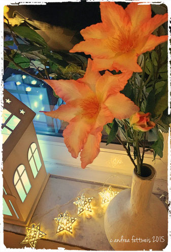 Weihnachten, Dekoration, Fenster, Fensterbrett, Laterne, Lichterkette, Sterne, Blüten, Licht, leuchten