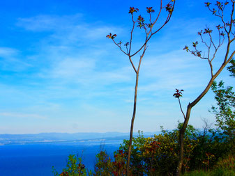 mit einer traumhaften Aussicht auf die Bucht von Opatija