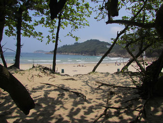 Big wave bay Hong Kong