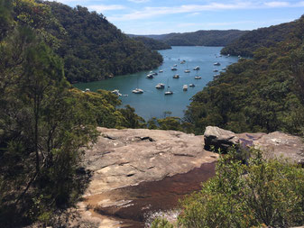 Kur-ring-gai National Park