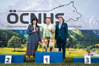 Best in Show Paarklasse Platz 2, CACIB Premstätten Hundeausstellung, Richter Liz Gonzalez, Dog Handling Pamela Vorderleitner, Dog Handling Eduard Vorderleitner