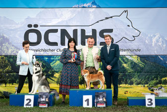 Best in Show Paarklasse Platz 2, CACIB Premstätten Hundeausstellung, Richter Liz Gonzalez, Dog Handling Pamela Vorderleitner, Dog Handling Eduard Vorderleitner