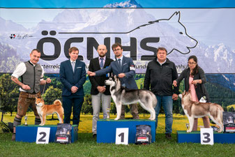 Best in Show Paarklasse Platz 2, CACIB Premstätten Hundeausstellung, Richter Liz Gonzalez, Dog Handling Pamela Vorderleitner, Dog Handling Eduard Vorderleitner