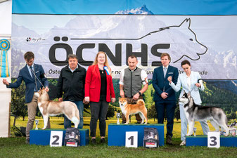 Best in Show Paarklasse Platz 2, CACIB Premstätten Hundeausstellung, Richter Liz Gonzalez, Dog Handling Pamela Vorderleitner, Dog Handling Eduard Vorderleitner