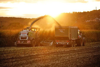 Landwirtschaft Ernte