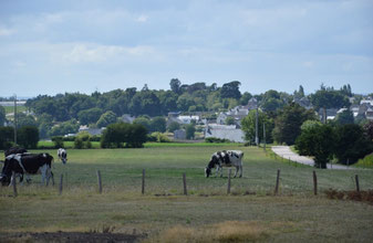 Saint-Alban, Vallée de La Flora
