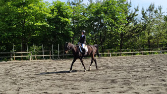 埼玉メンバーさんが馬に乗る理由 乗馬体験満足度no 1 埼玉の乗馬クラブ