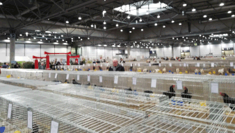 Messehalle 5, hier waren unsere Zwerge