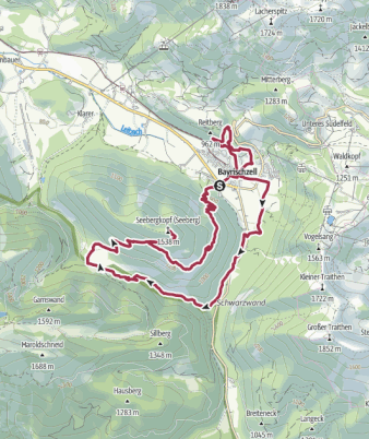 Tour W31 <> Bayrischzell - Niederhofer Alm - Seebergkopf