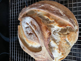 Sauerteigbrot