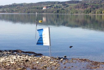 Abfalltaucher dive against debris, tauchen gegen Müll