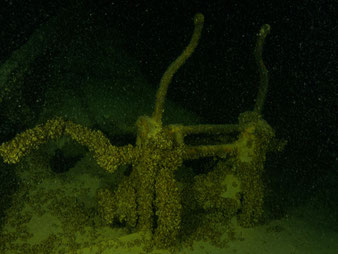 Jura-Tauchgang im Bodensee, Wrack Jura mit Quaggamuschel bewachsen.
