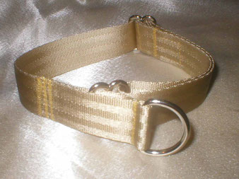 Zugstopp, Halsband, 2,5cm, Gurtband champagnerfarben