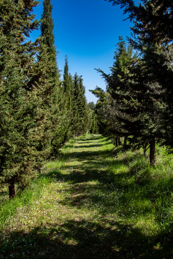 Parco della Vena del Gesso Romagnola