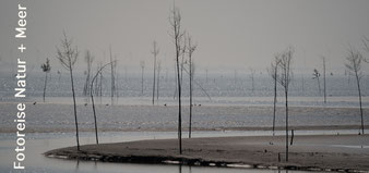 Natur und Meer neuer Termin in 2025