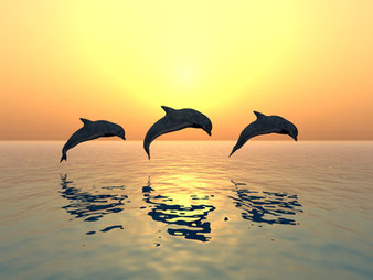 Three jumping dolphins