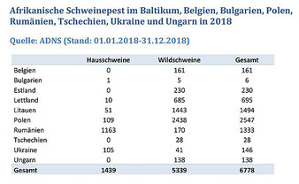 Bildquelle: https://www.fli.de/de/aktuelles/tierseuchengeschehen/afrikanische-schweinepest/