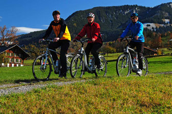 Mit dem E-Bike auf Tour zum Tropenhaus Frutigen und den Blausee
