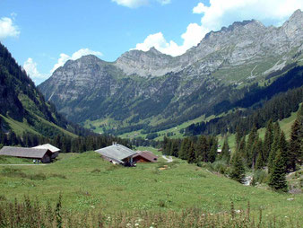 Mit dem E-Mountainbike im Fermeltal bei Zweisimmen