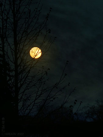 Voll Mond, Full Moon, Bäume, Äste, Natur, Nacht, Wolken, Himmel, April, © by Pelz Kreativ 2022, Fotografie, fineART, 