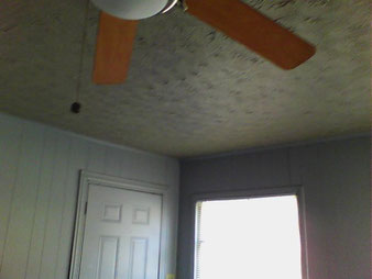 Ceiling appearance with out Infrared -Advantis Home Inspection, PLLC