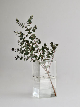 キューブ型のガラスが積み重なったデザインの花器。上部にはワイヤーメッシュがセットされており、水耕栽培にも使用できます。茎を支える構造で少ない花でも美しく飾れる、ミニマルなガラスベースです。