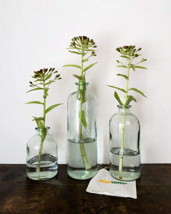 分厚いガラスで作られた素朴な感じの花瓶です。何かを入れるための保存瓶のようでもあり、日用品の瓶のような雰囲気です。
