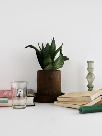 木製のプランター / Wood Planter。30年前にインドでスパイスをすり潰すのに使われていた木の容器を再利用したプランターです。シンプルな円柱形で、長い年月を経た木の風合いが魅力です。多肉植物など個性的なグリーンにぴったり。キッチンツールやカトラリーホルダーとしても使え、受け皿を蓋にしてキャニスターとしても利用可能です。（底には穴が1つ空いています。）原産国：インド