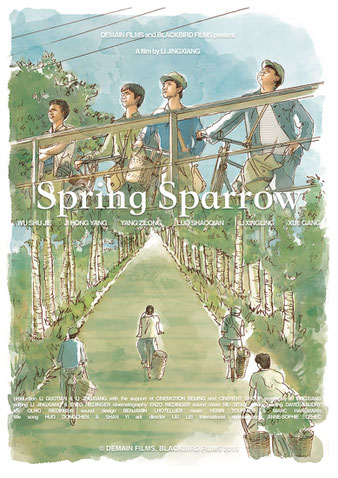 étalonnage video Spring Sparrow