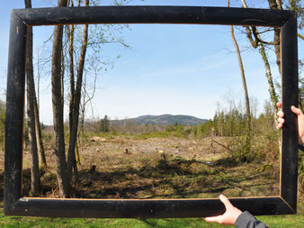  Das Verhältnis von Natur und Museum im Blickpunkt ©Salzburger Freilichtmuseum