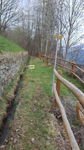 Deviazione x Thomasset
