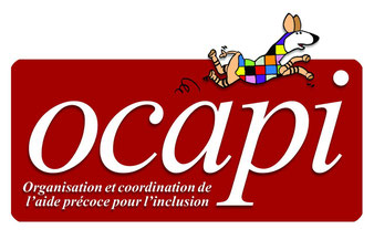 Logo projet OCAPI