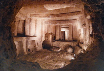 Von xiquinhosilva - https://www.flickr.com/photos/7138083@N04/27798202362/, CC BY 2.0, https://commons.wikimedia.org/w/index.php?curid=118878367