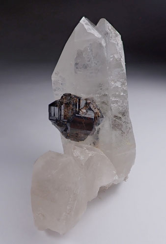 Cassiterite Panasqueira