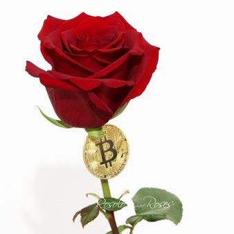 1 rose XL - 1 Bitcoin (non numérique) CHF 29.50